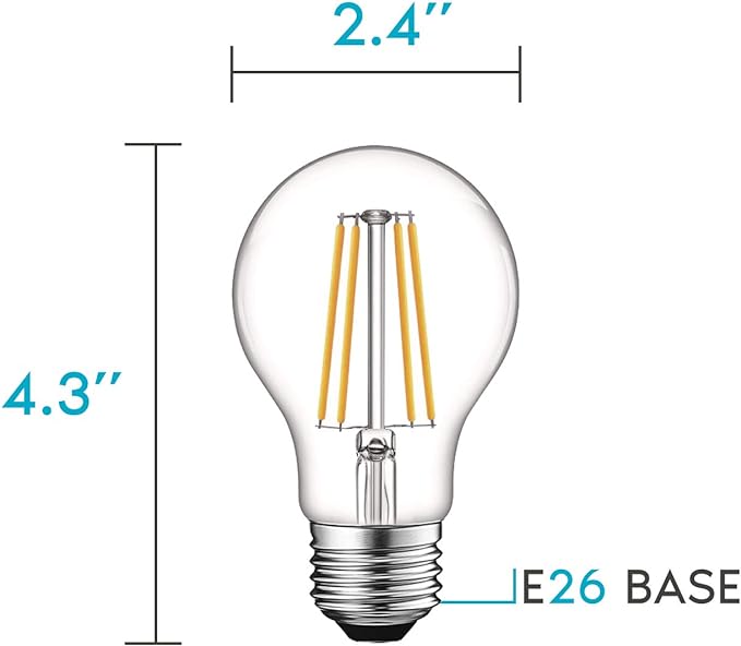 A19 LED BULBS