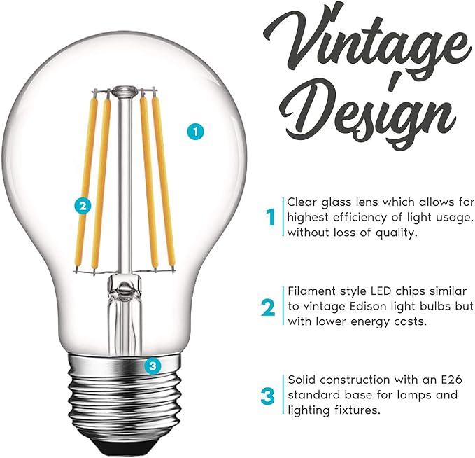 A19 LED BULBS